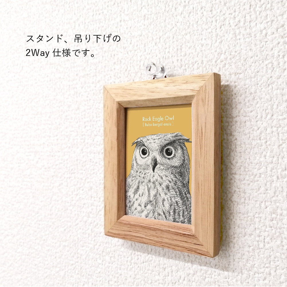 ミニ額 長方形【ふくろう 2種】