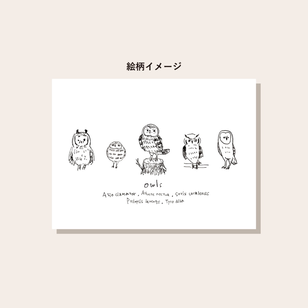 【再入荷】ふくろうのマグカップ【ゆるふくろう】