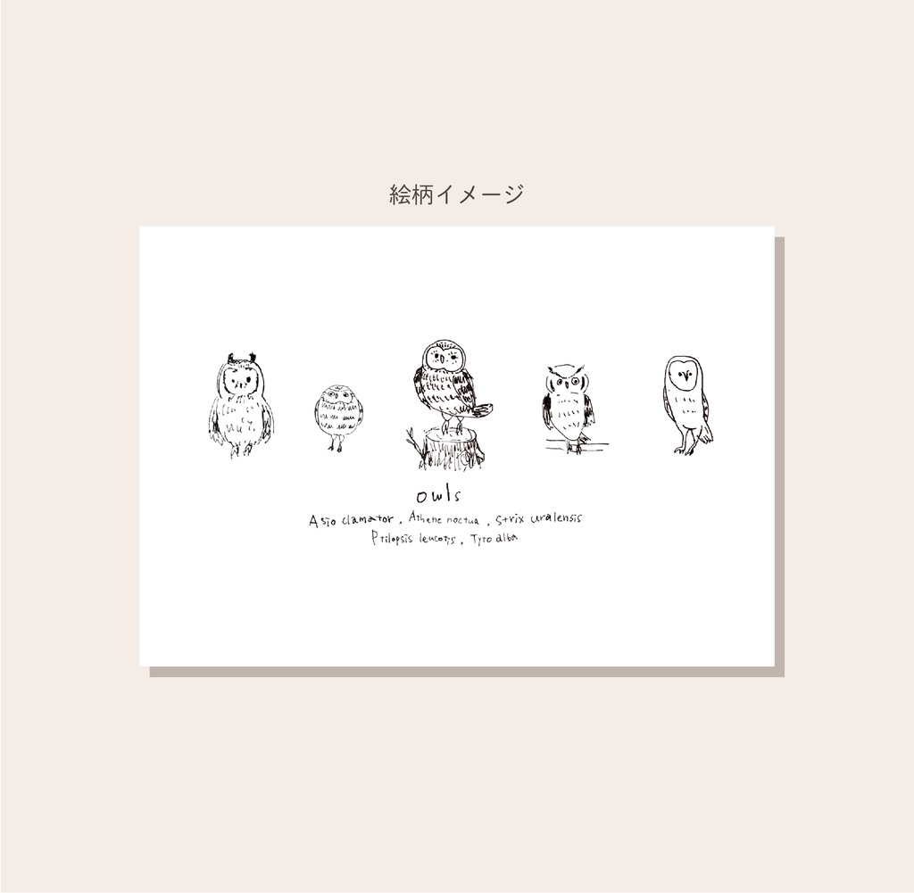 マグカップ【ゆるふくろう】