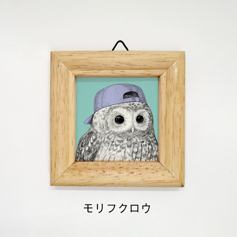ミニ額 正方形【ふくろう 8種】