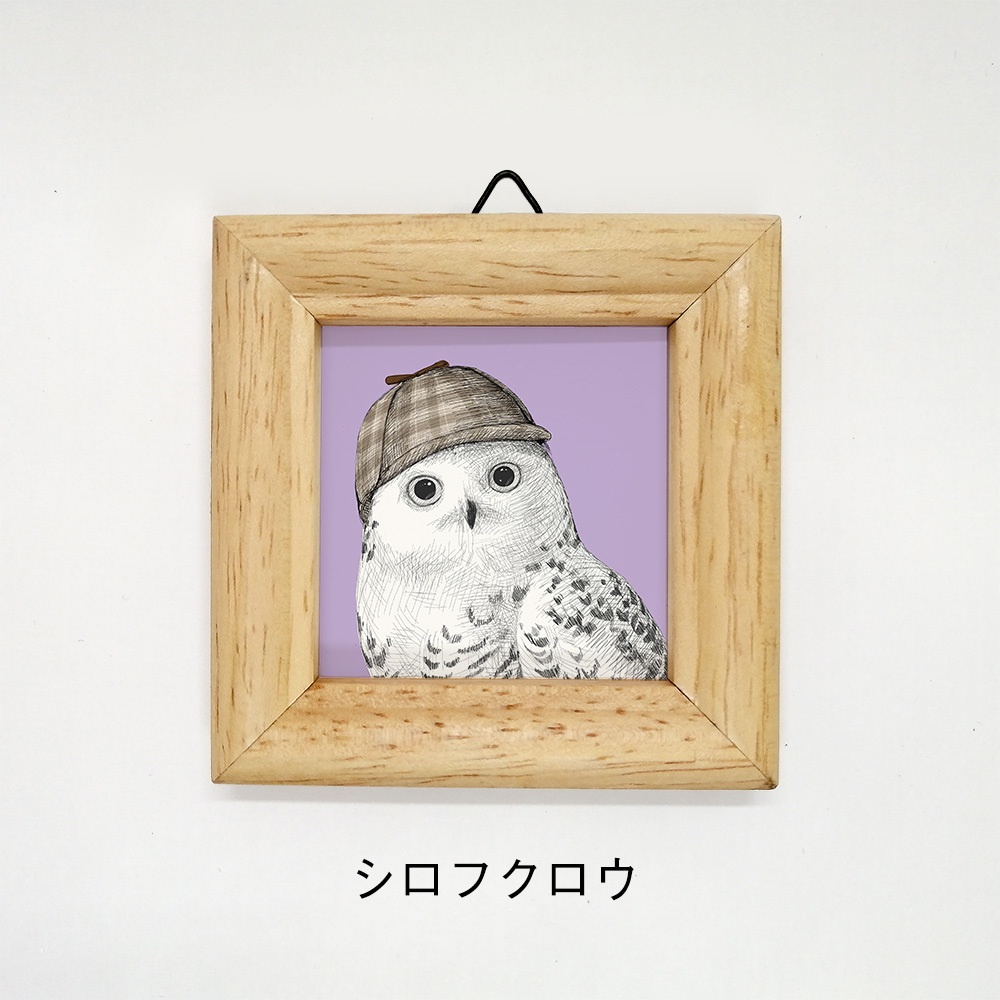 ミニ額 正方形【ふくろう 8種】