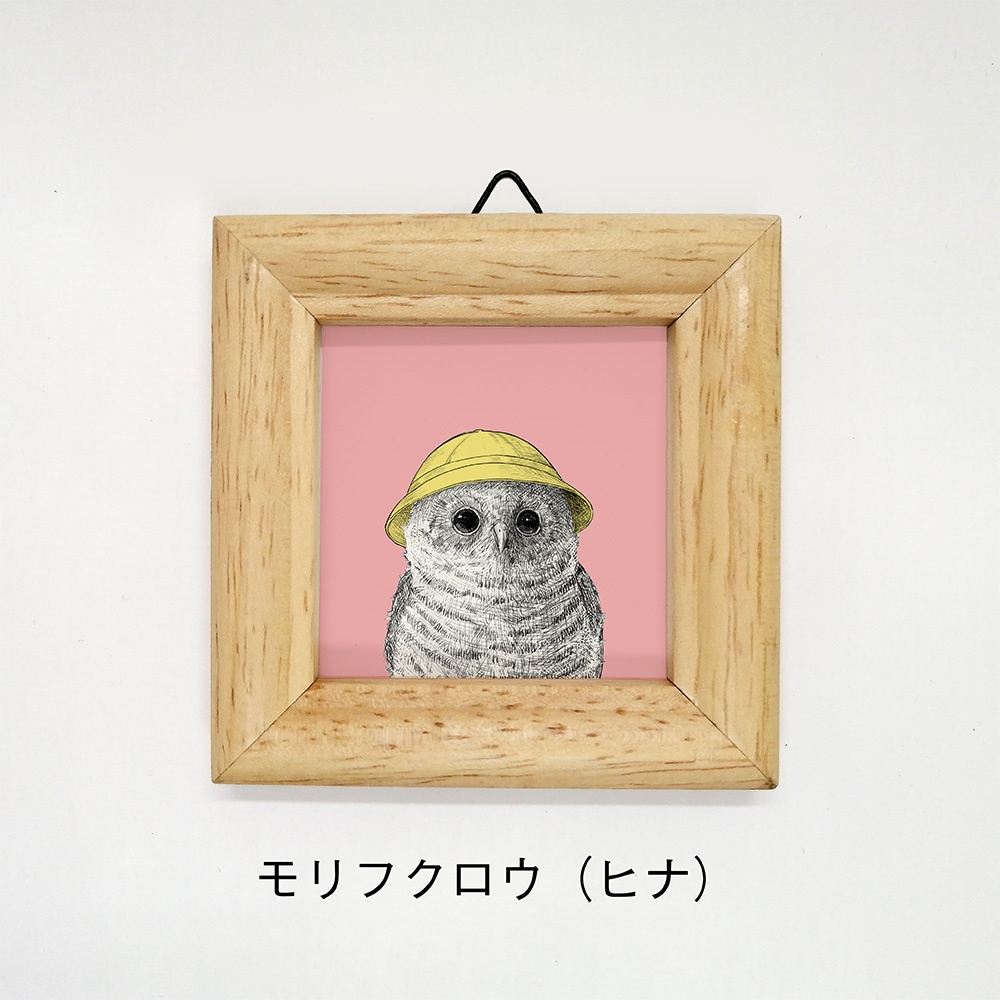 ミニ額 正方形【ふくろう 8種】