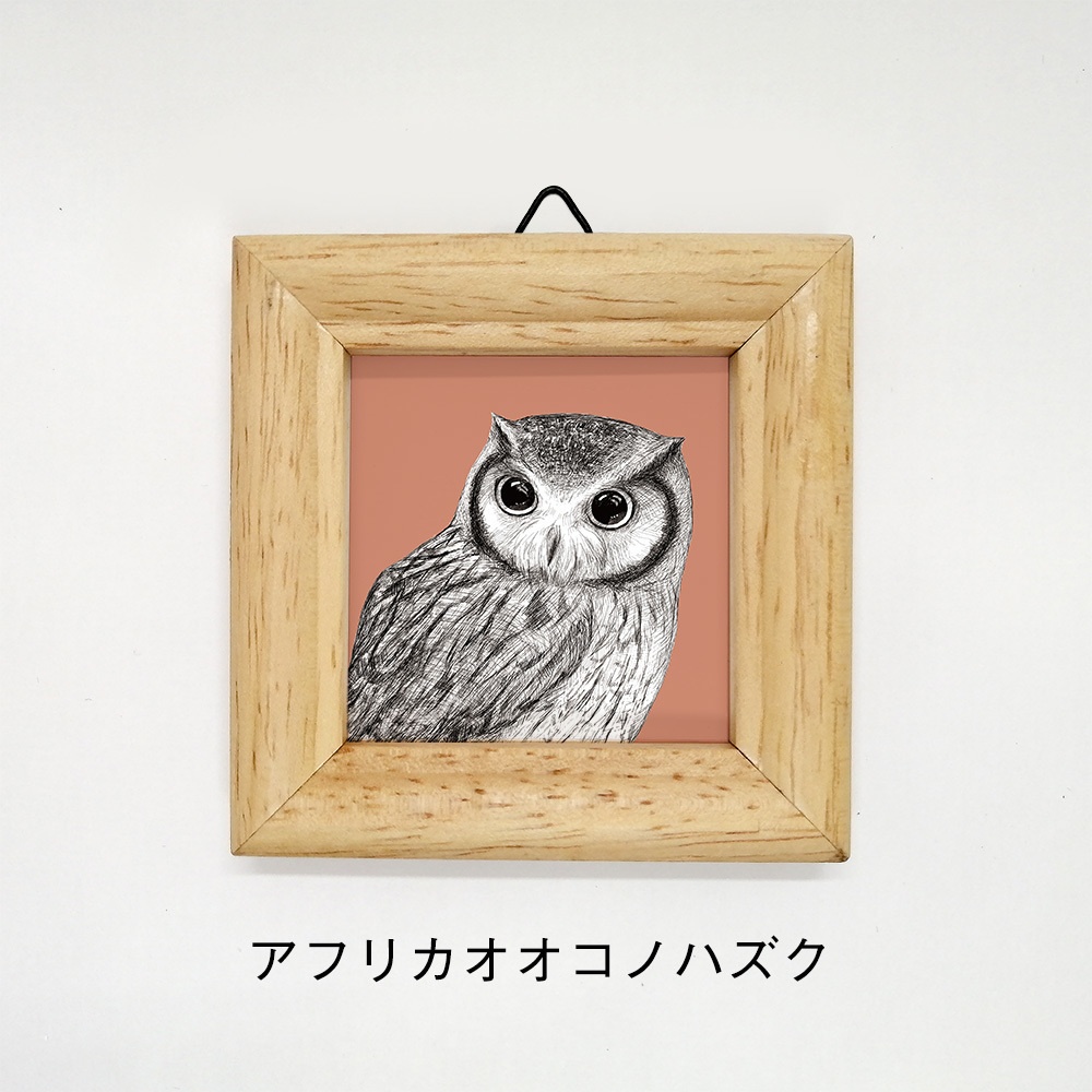 ミニ額 正方形【ふくろう 8種】