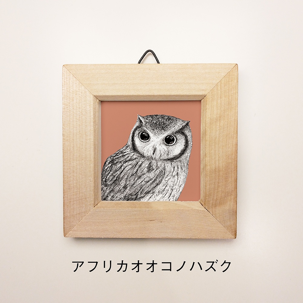 ふくろうのミニ額 正方形【全8種】
