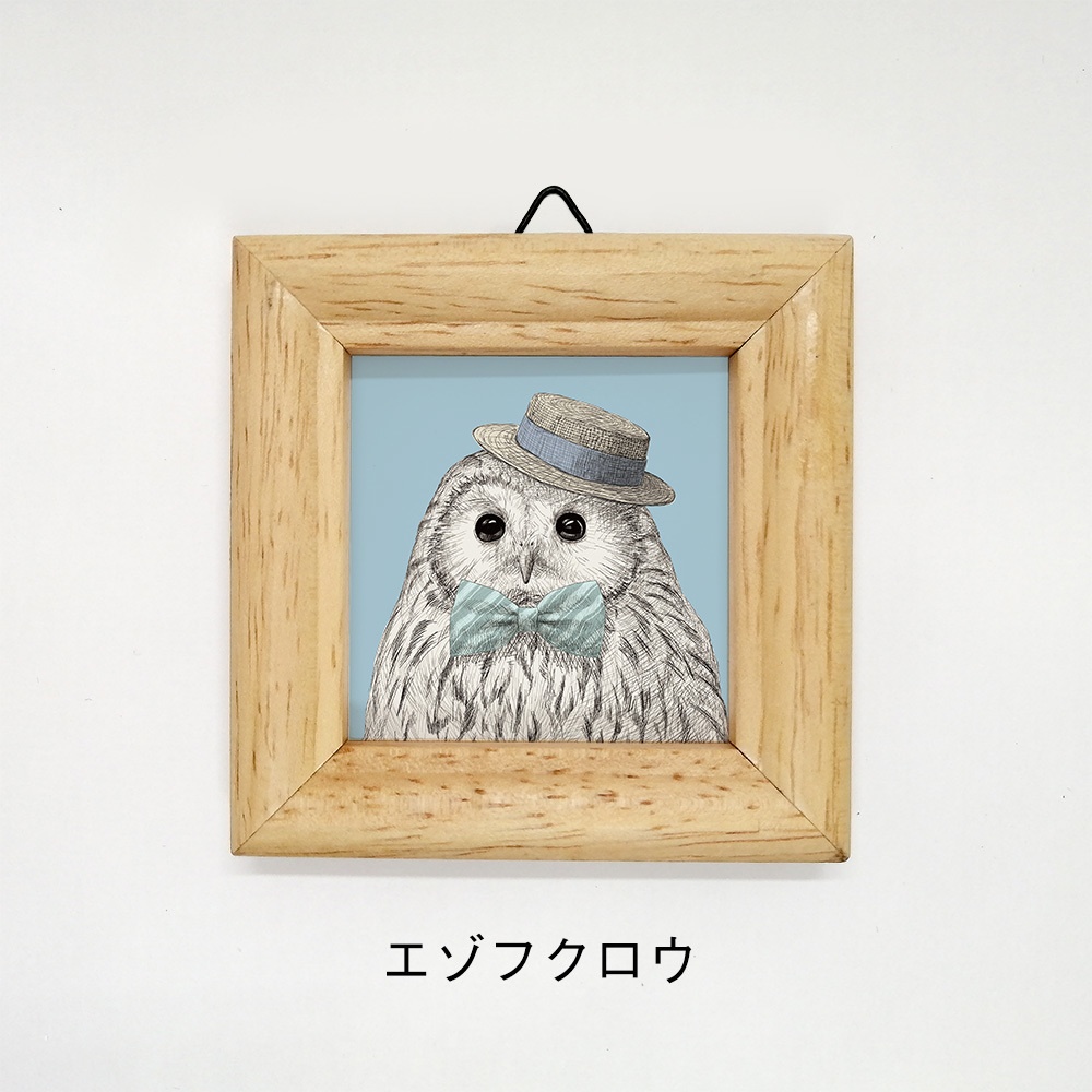 ミニ額 正方形【ふくろう 8種】