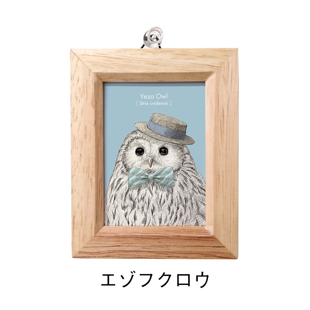 ミニ額 長方形【ふくろう 8種】