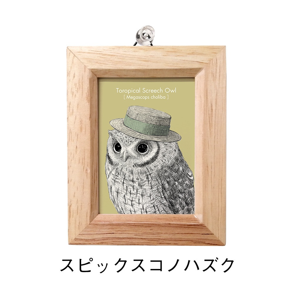 ミニ額 長方形【ふくろう 8種】