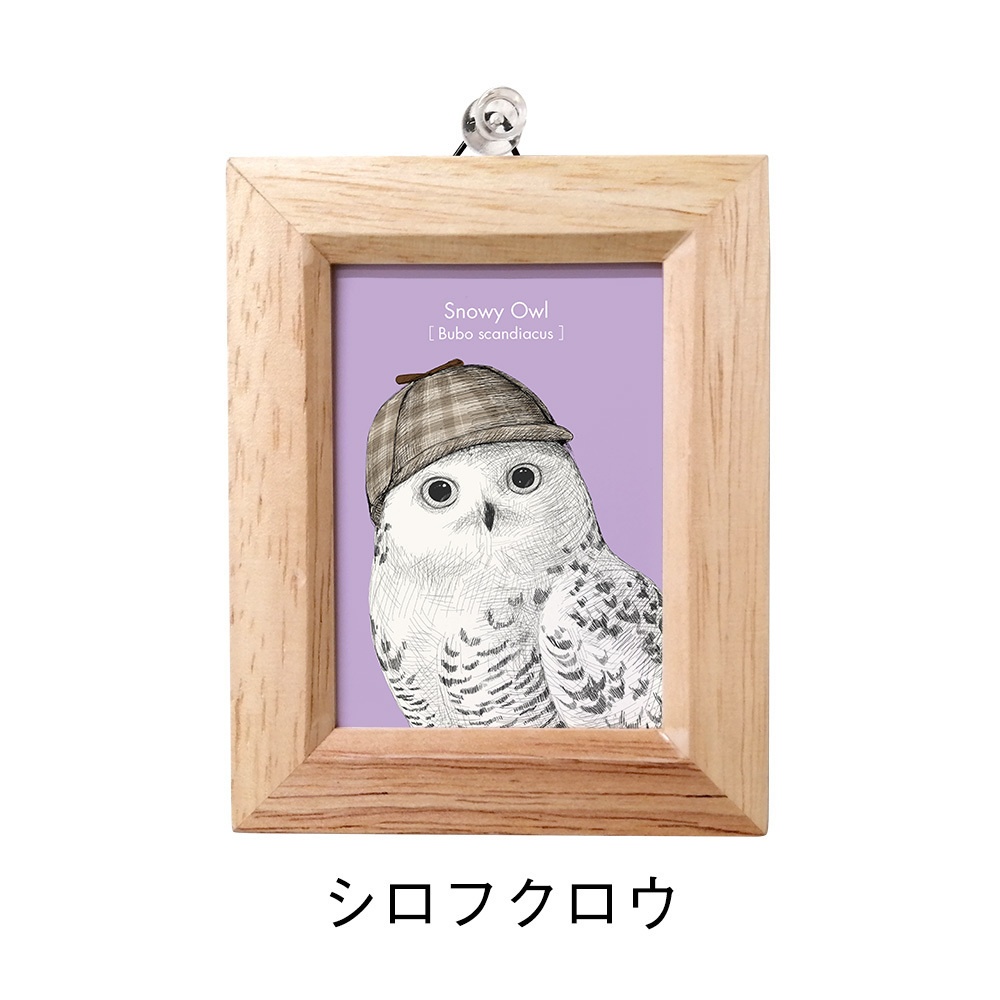 ミニ額 長方形【ふくろう 8種】