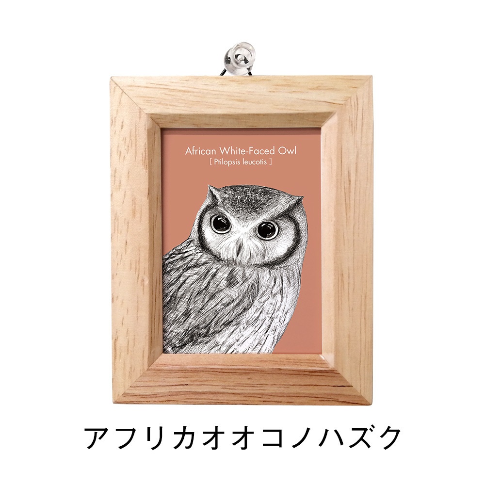 ミニ額 長方形【ふくろう 8種】