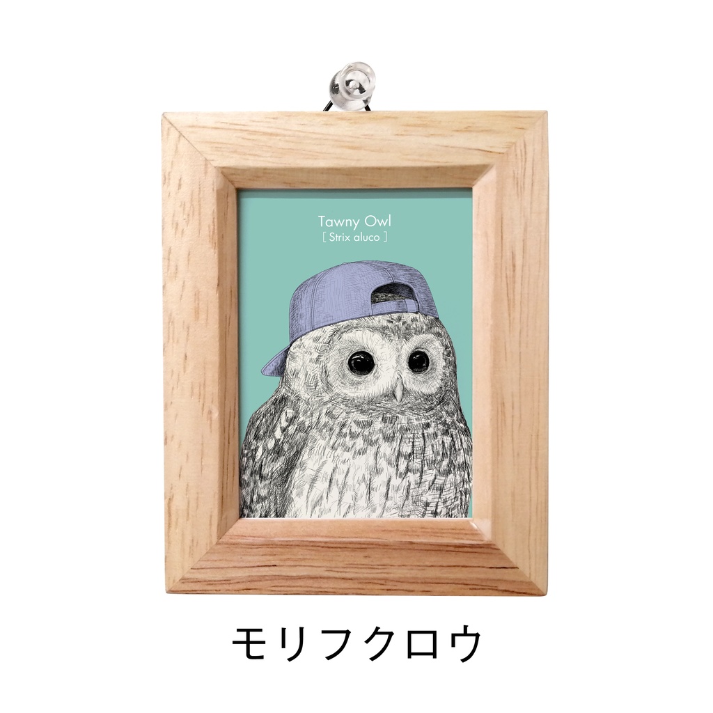 ミニ額 長方形【ふくろう 8種】