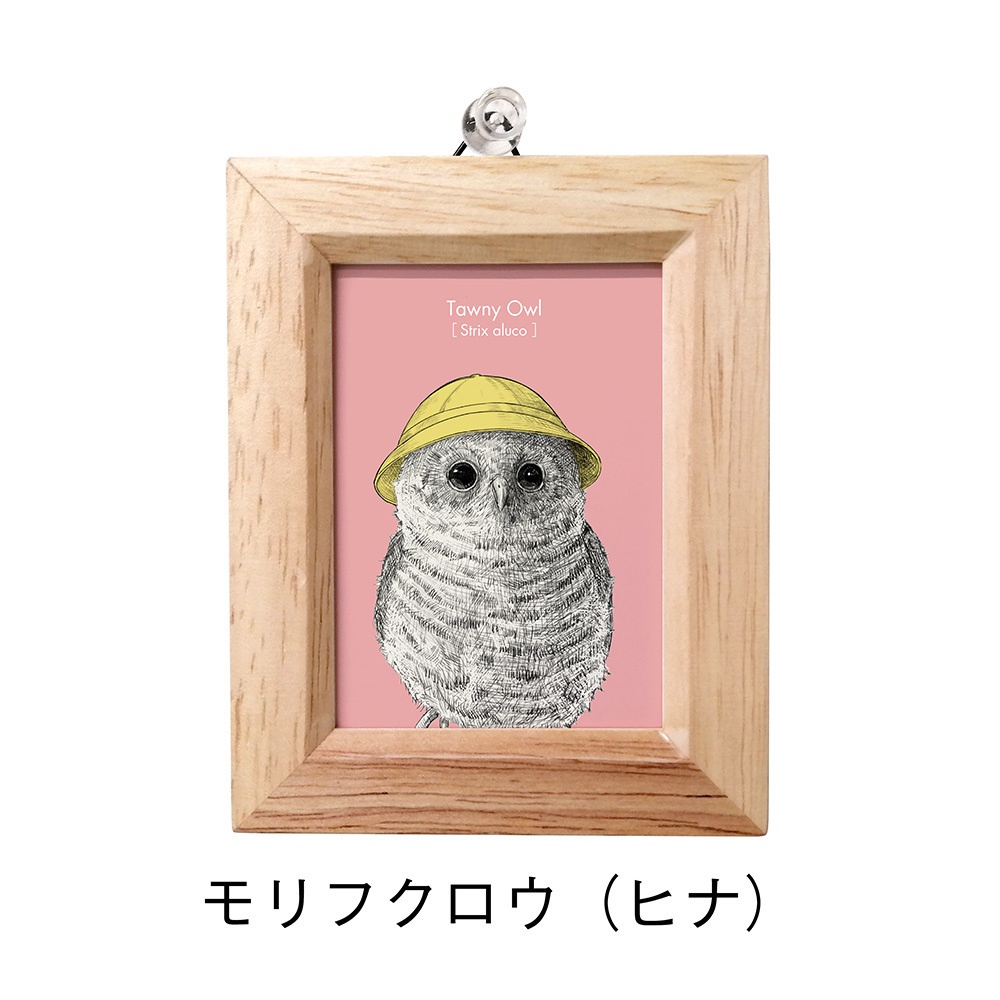 ミニ額 長方形【ふくろう 8種】