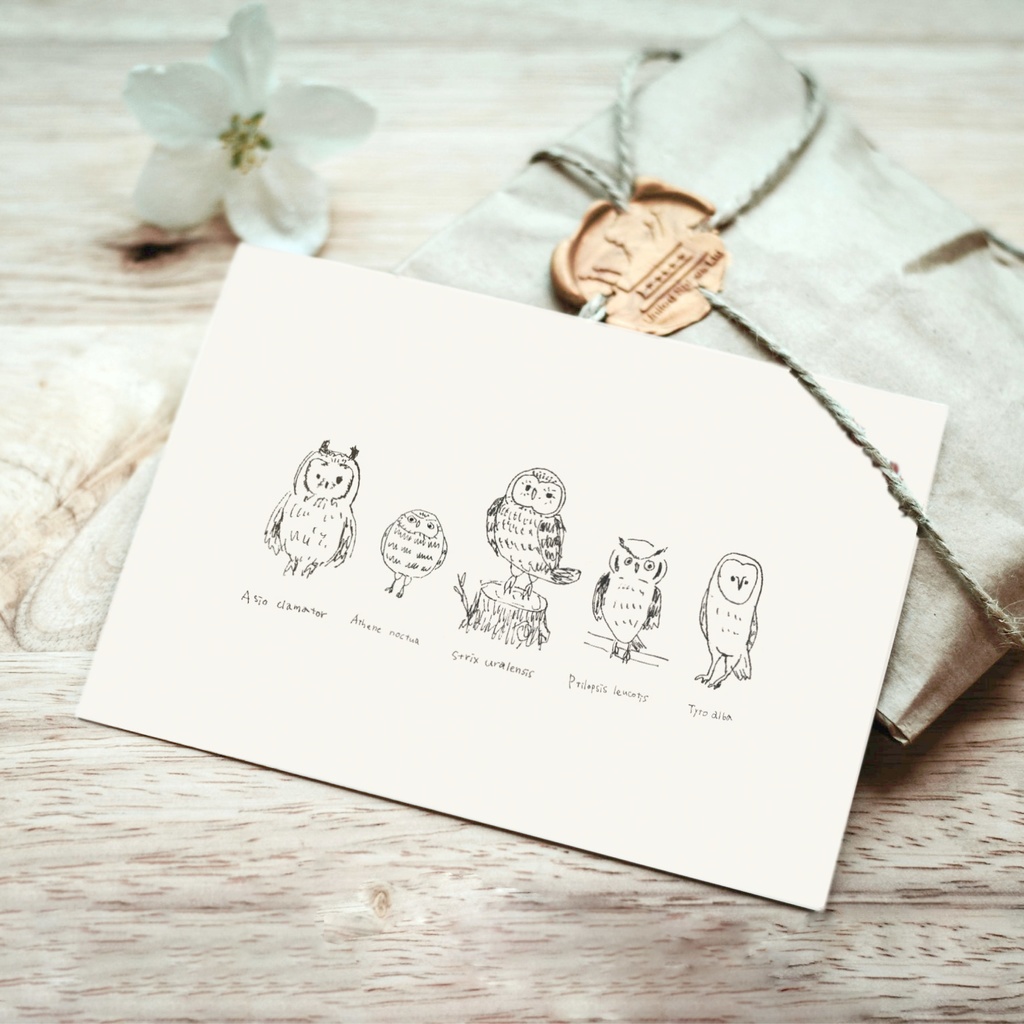 ポストカード【ふくろう9枚セット】