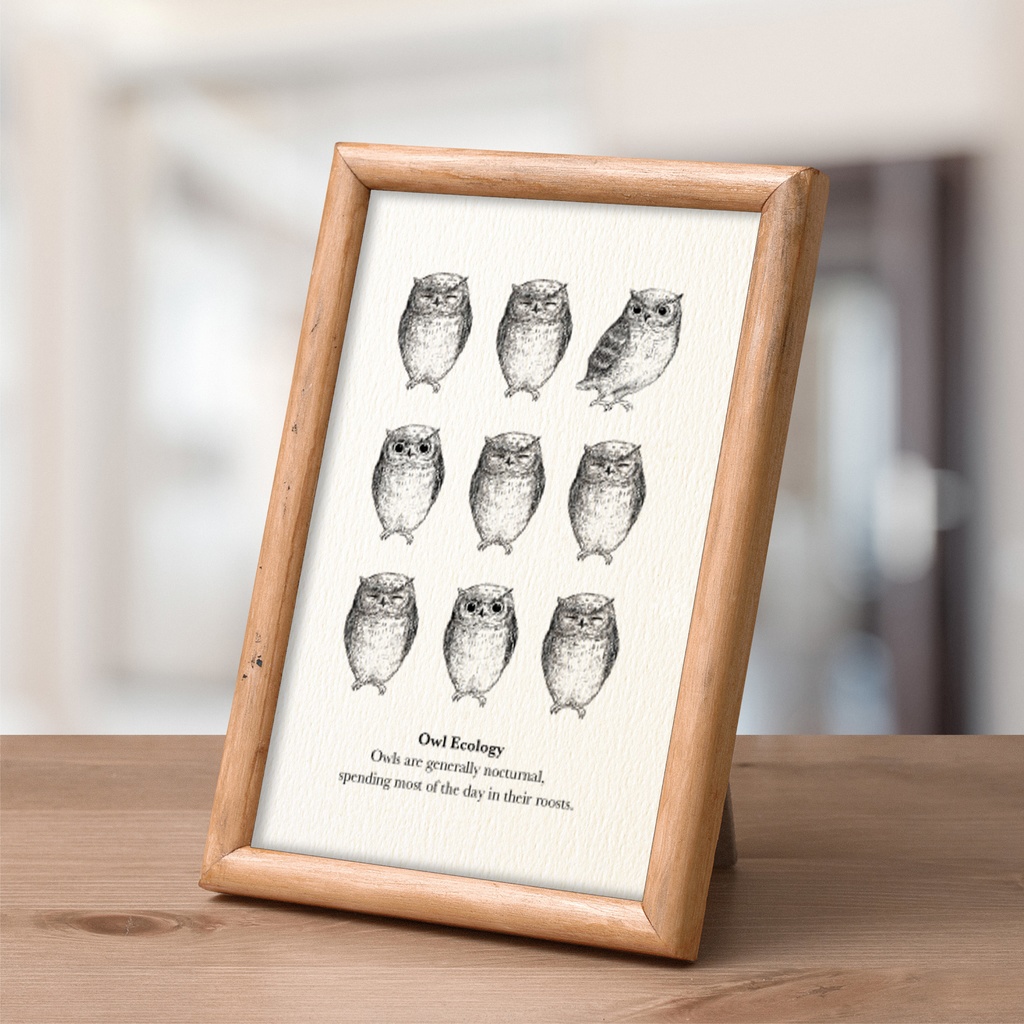 ポストカード【ふくろう9枚セット】