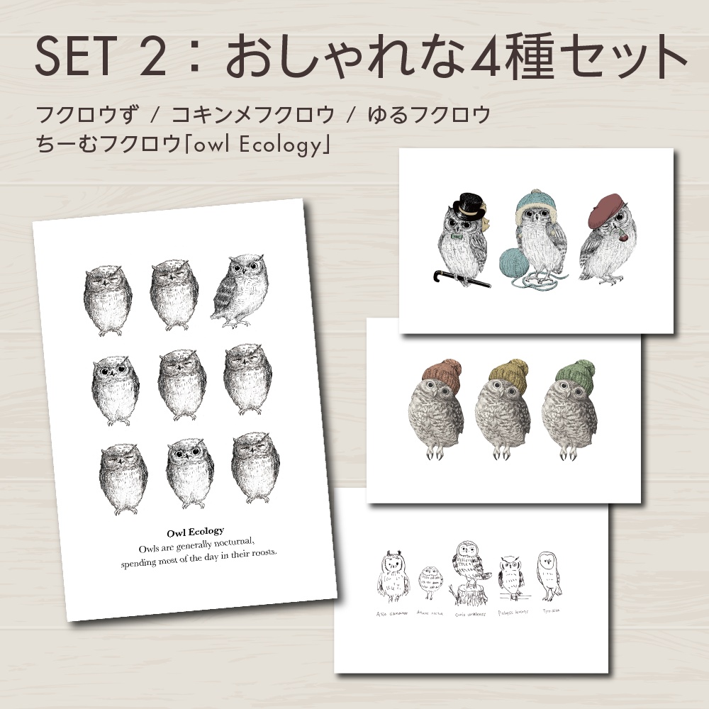 フクロウのポストカード|小さな鳥アート・インテリア雑貨【全9種】