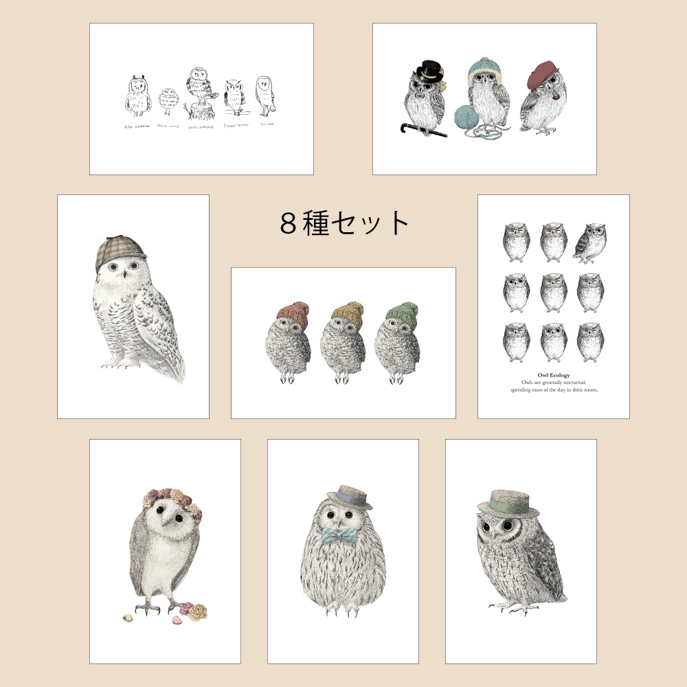 ポストカード【ふくろう9枚セット】
