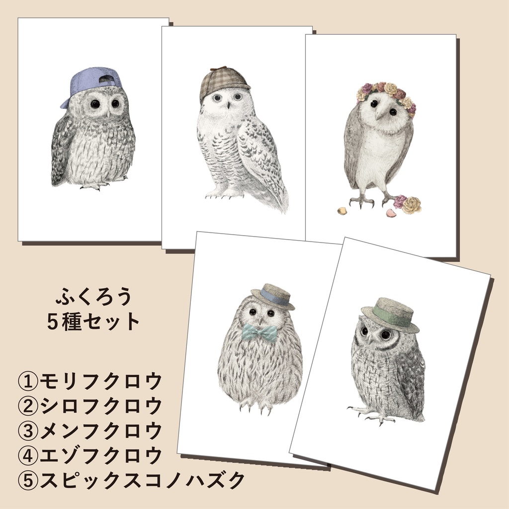 ふくろうのポストカードセット【全9種】