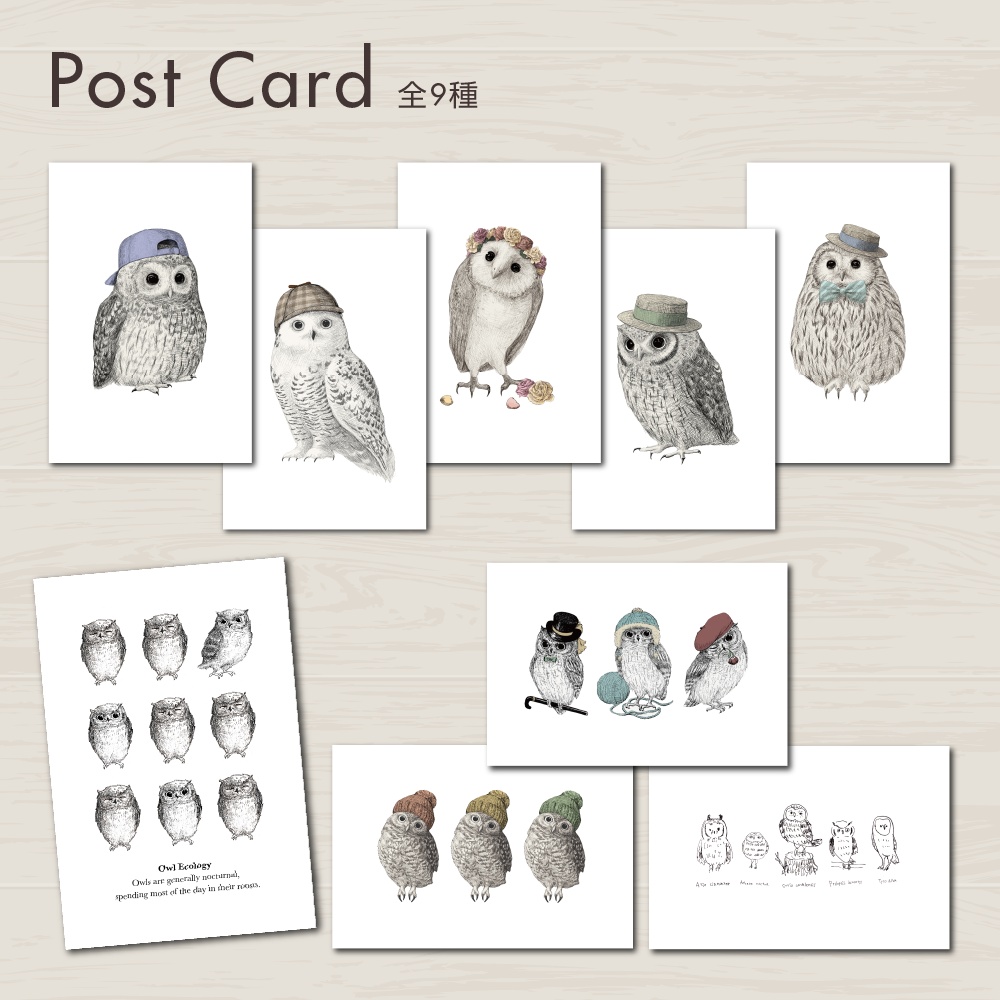 フクロウのポストカード｜小さな鳥アート・インテリア雑貨【全9種】