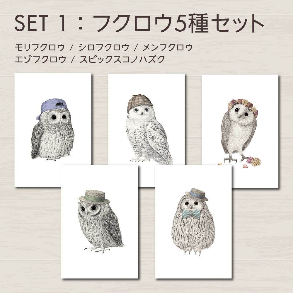 フクロウのポストカード|小さな鳥アート・インテリア雑貨【全9種】