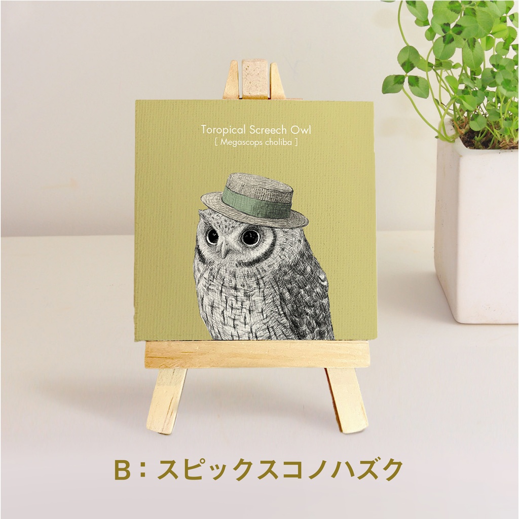 ミニキャンバス【ふくろう 5種】