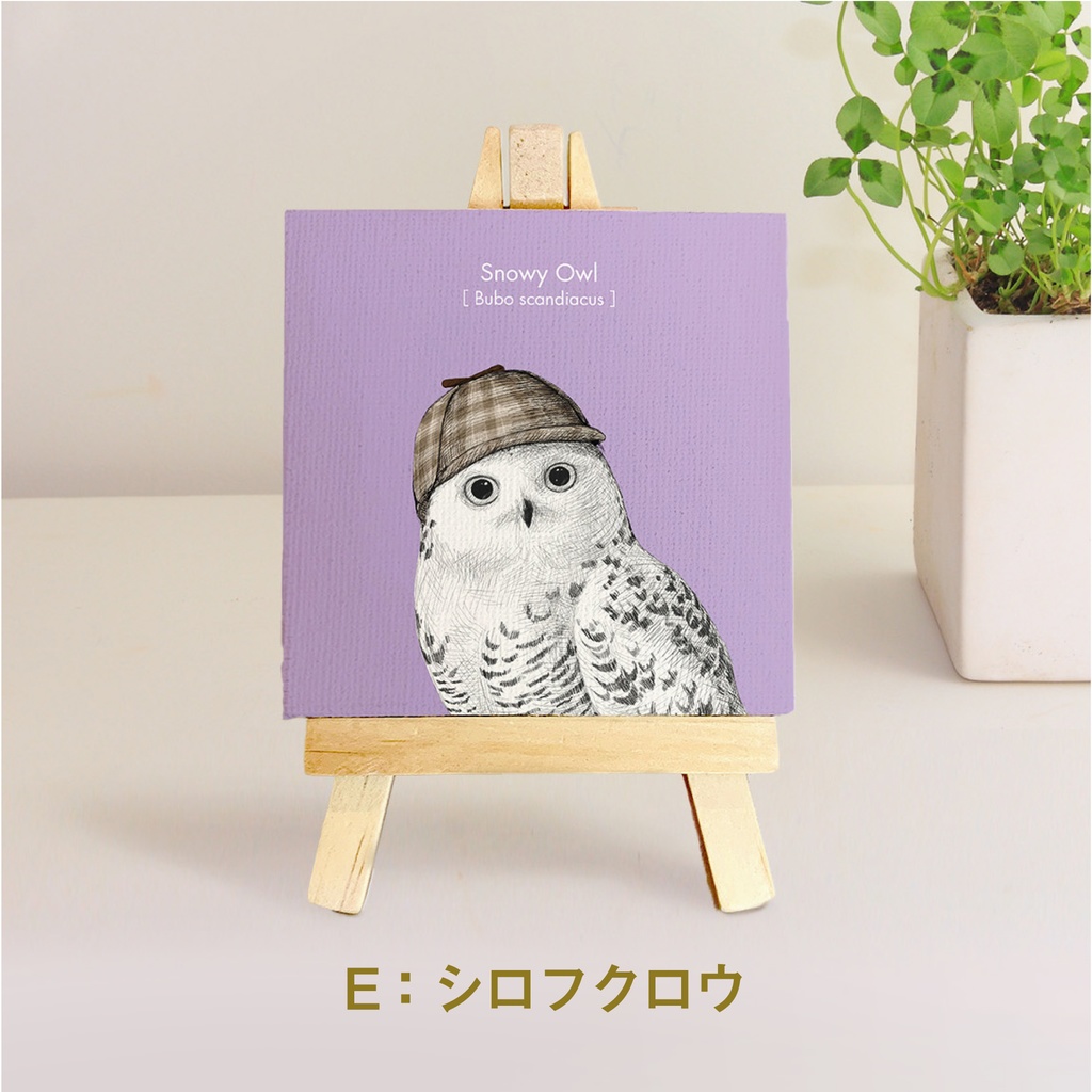 ミニキャンバス【ふくろう 5種】
