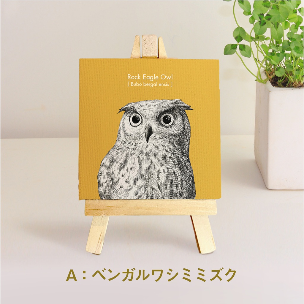 ミニキャンバス【ふくろう 5種】