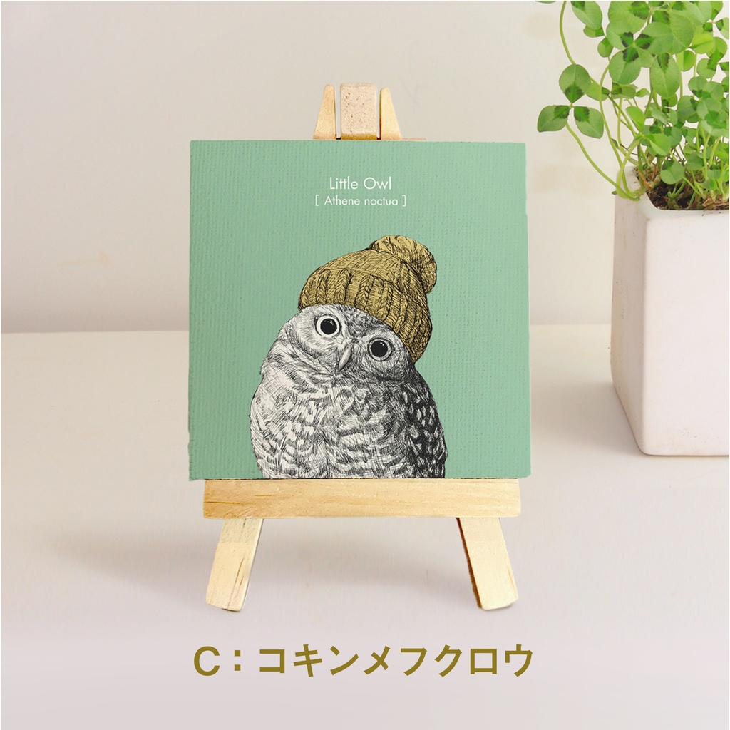 ミニキャンバス【ふくろう 5種】