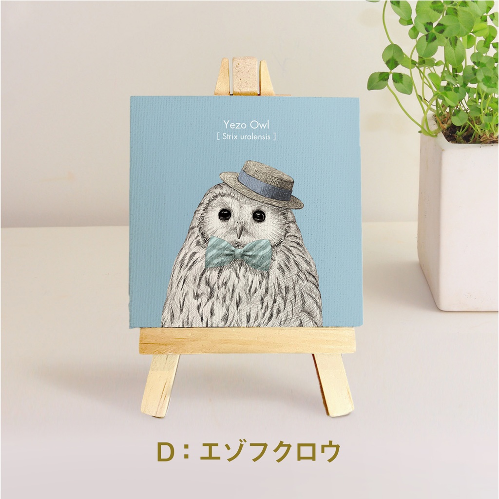 ミニキャンバス【ふくろう 5種】