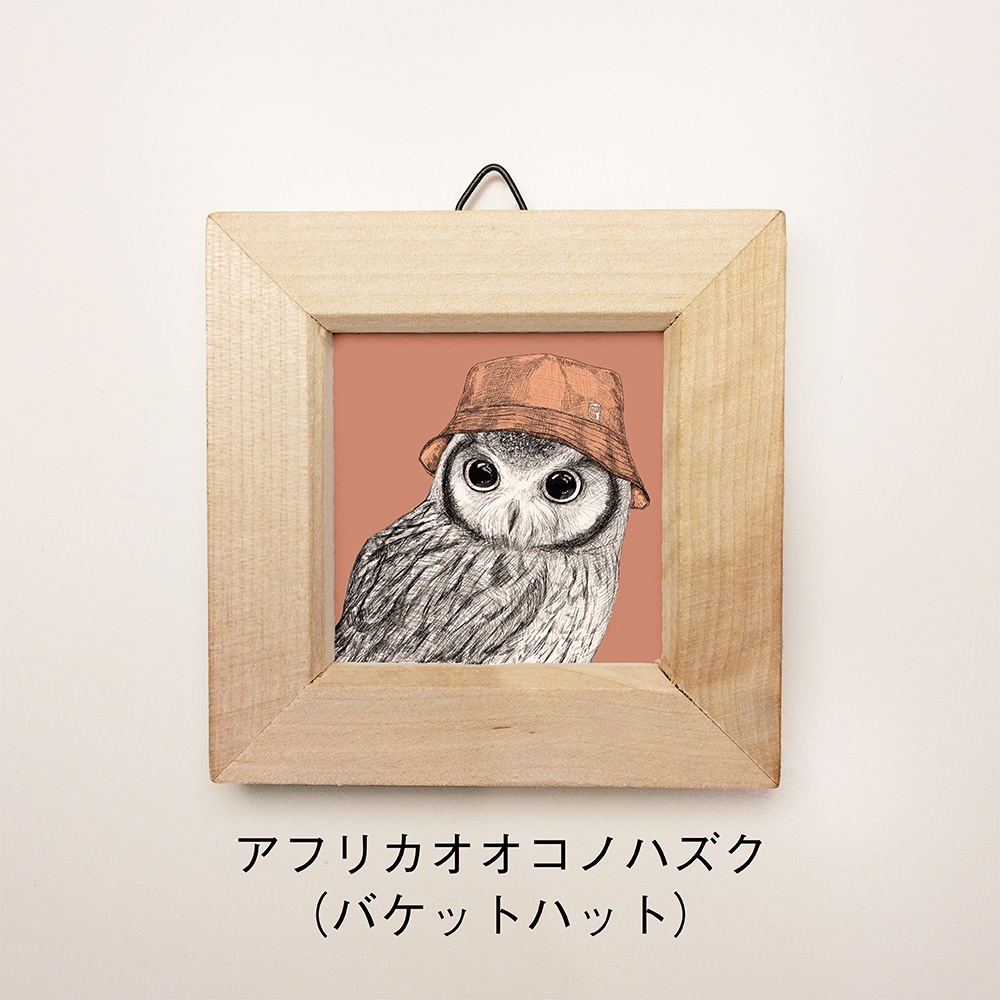 【新作】ふくろうのミニ額 正方形 vol.4【全4種】