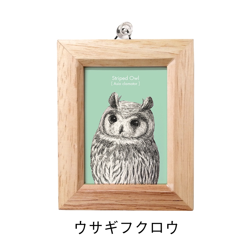 【新作】ふくろうのミニ額 長方形 vol.3【全4種】