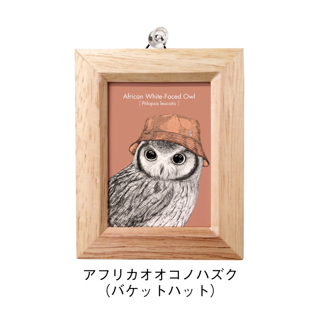 【新作】ふくろうのミニ額 長方形 vol.3【全4種】