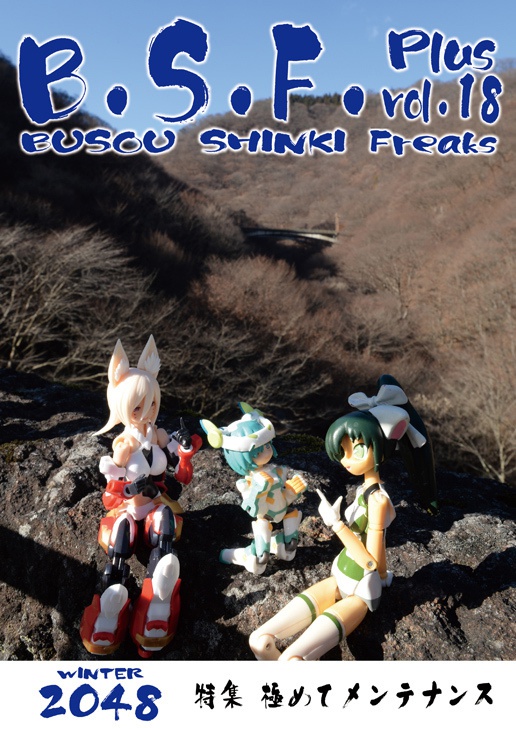 B.S.F. Plus vol.18