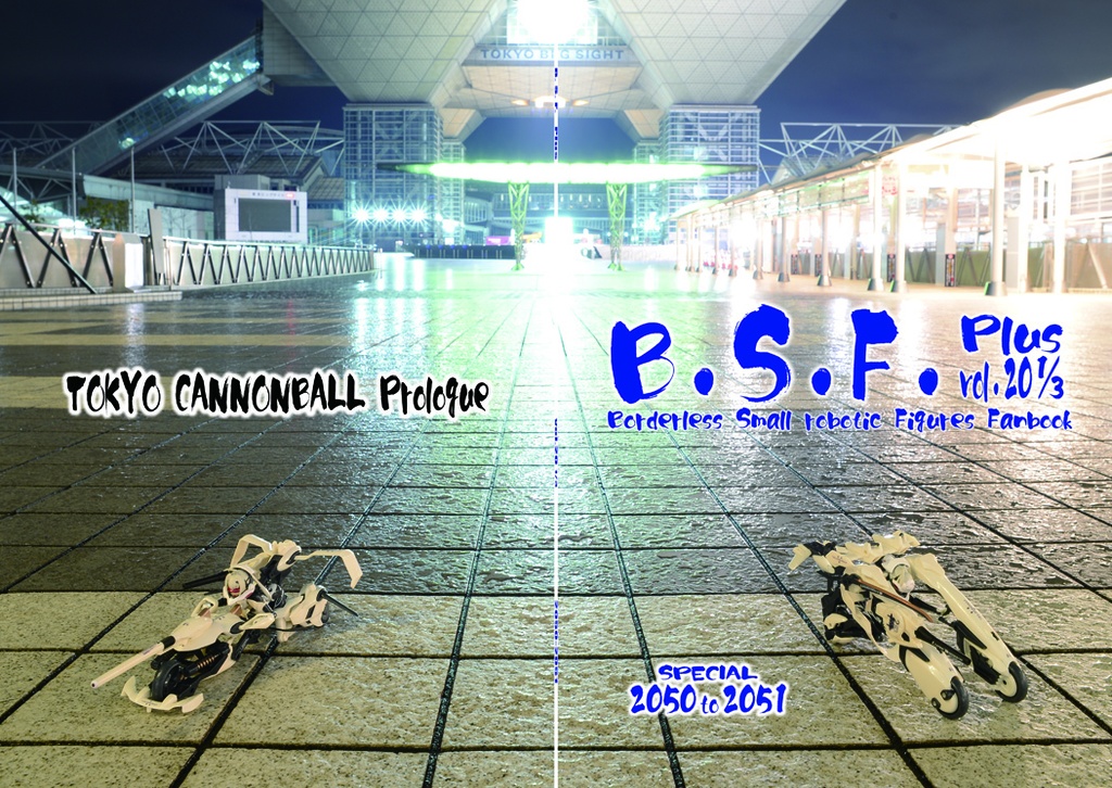 B.S.F. Plus vol.20 1/3