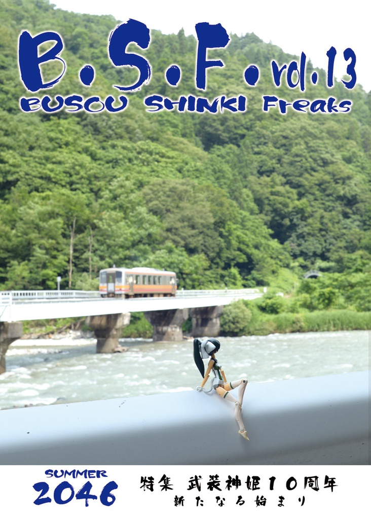 B.S.F. vol.13