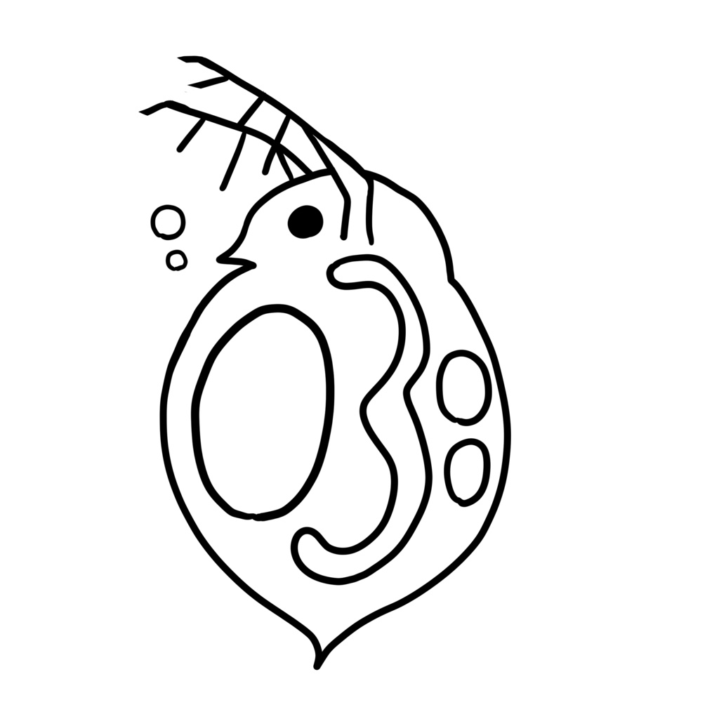 ミジンコTシャツ(白)