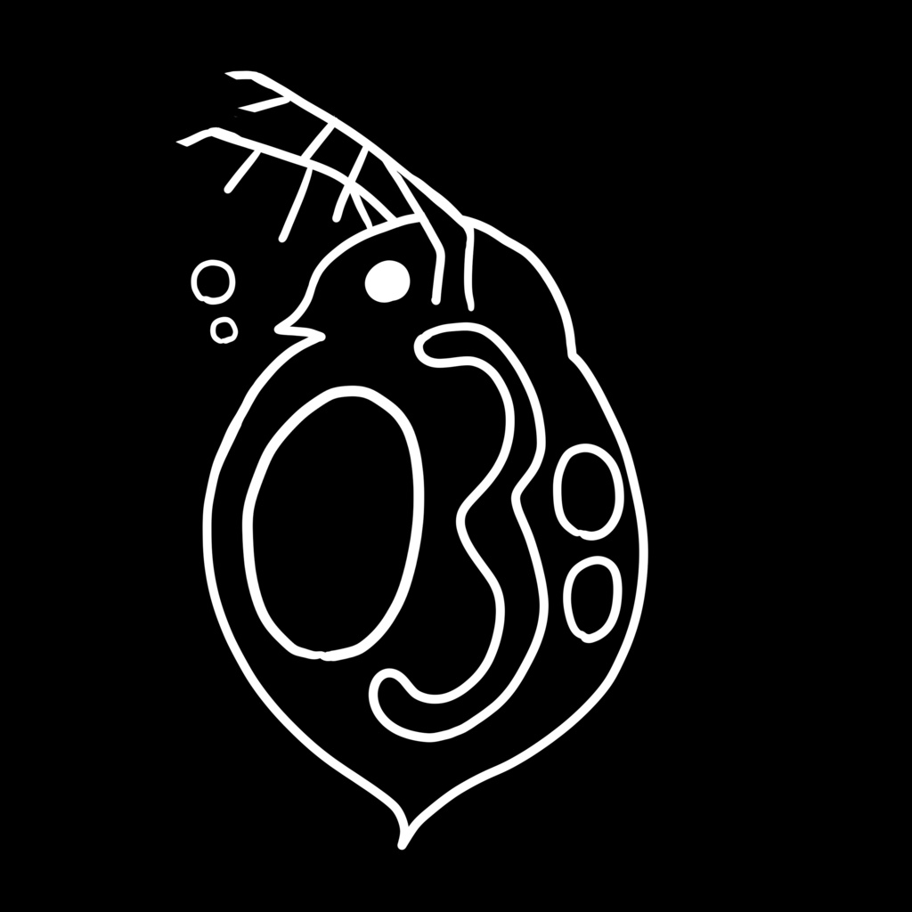 ミジンコTシャツ(黒)