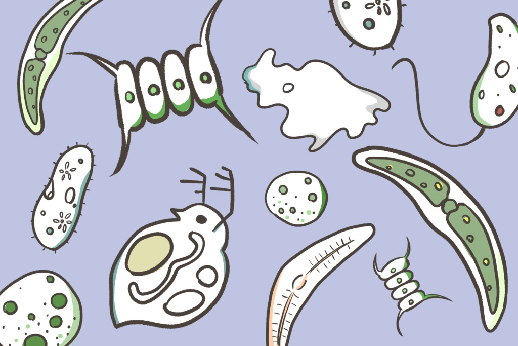 びせいぶつだらけ