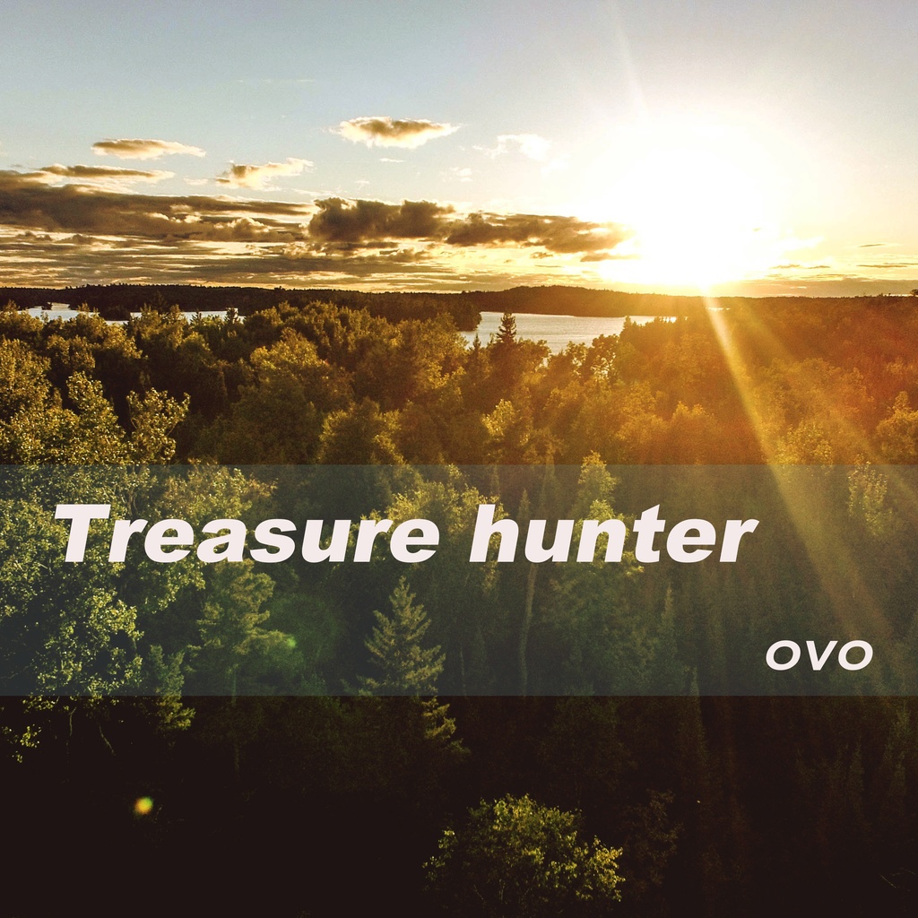 Treasure hunter