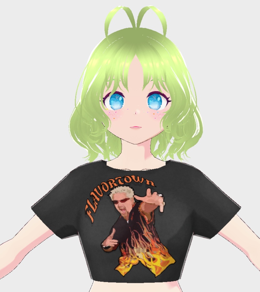 Guy Fieri Flavortown Crop top Meme