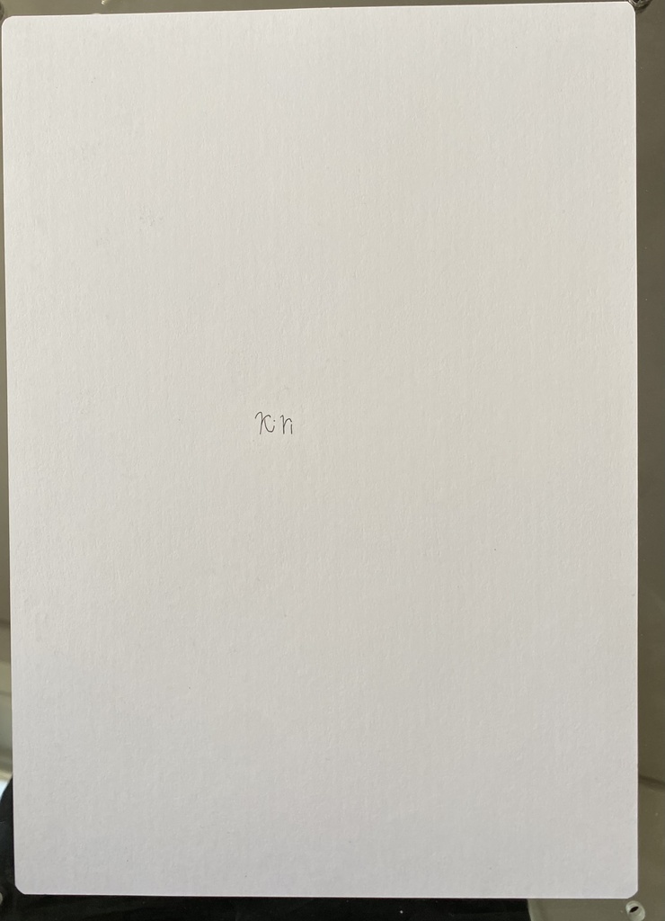 【手描き原画】Lily in Silence【Original hand-drawn】