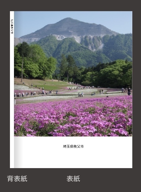 秩父市 フォトブック (A4)