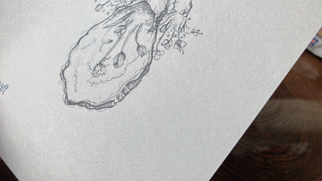 人魚の秘密部屋--ブックカバーセット