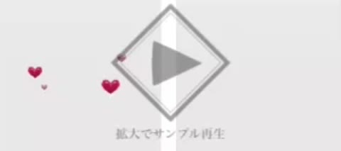 連れ歩き用お道具箱AR 一部無料あり
