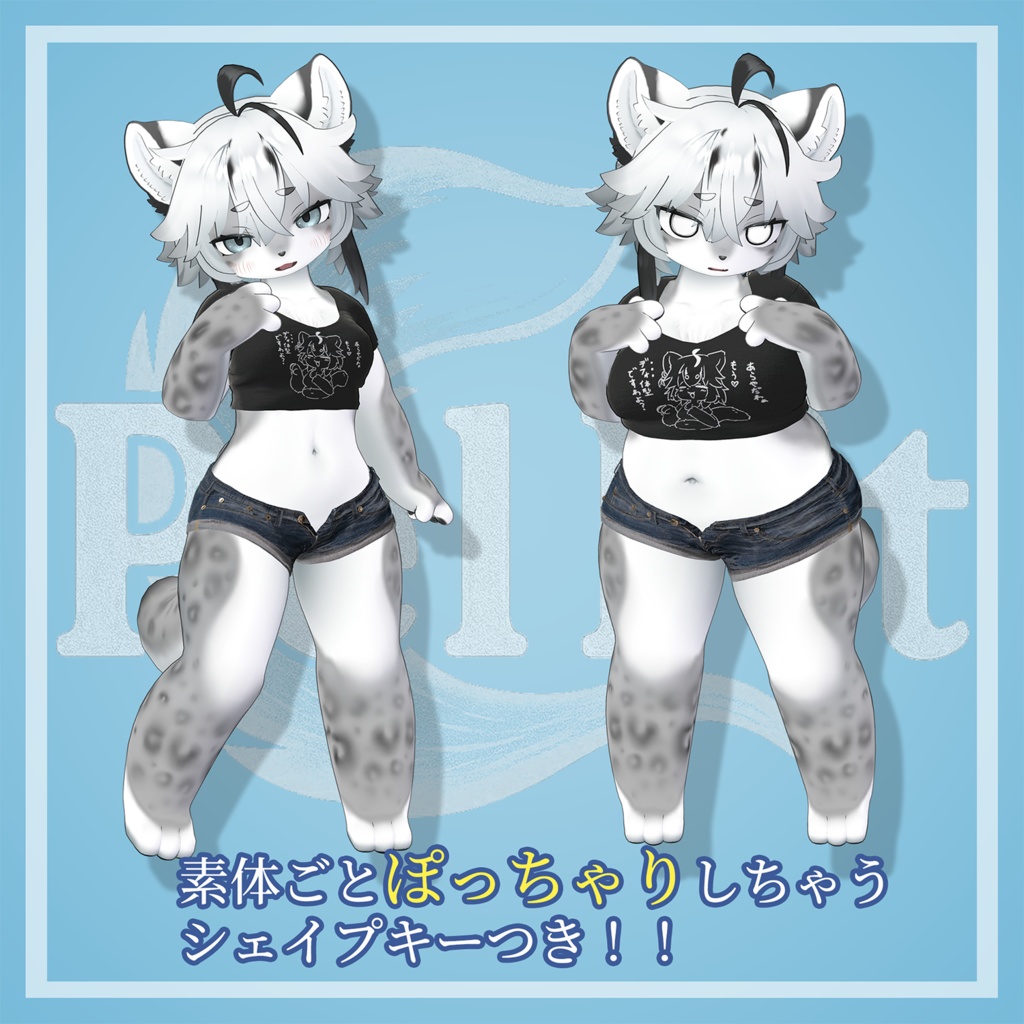 【ぽっちゃりシェイプキー付き】ムチT&ホットパンツセット