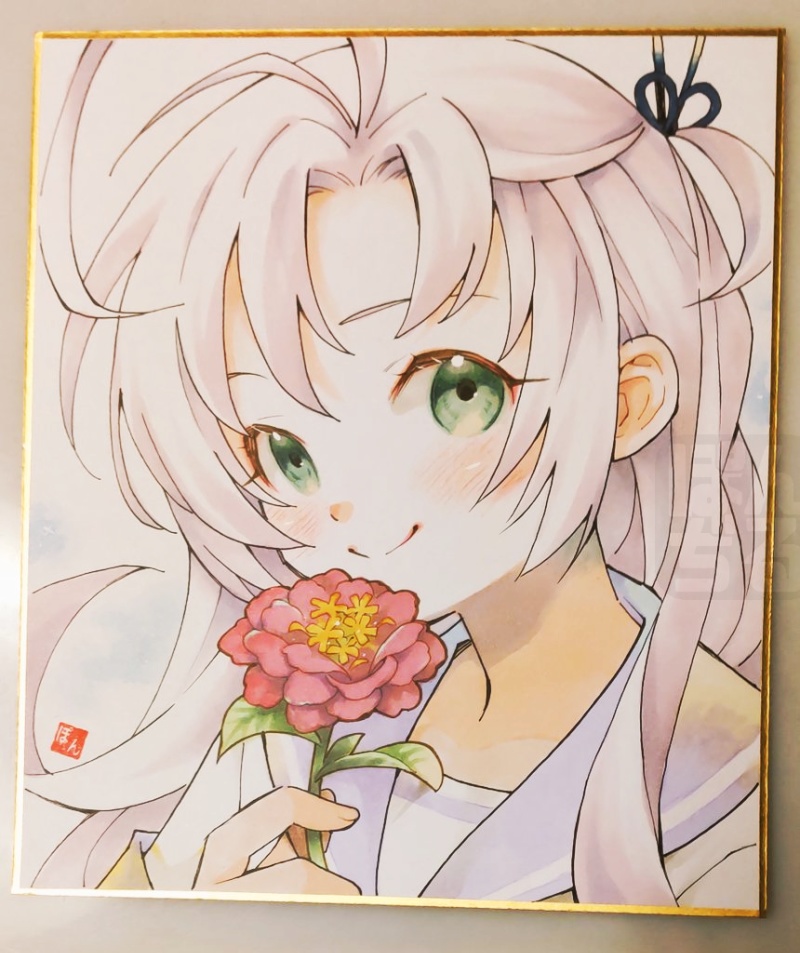 百日草と衣笠さん｜中色紙