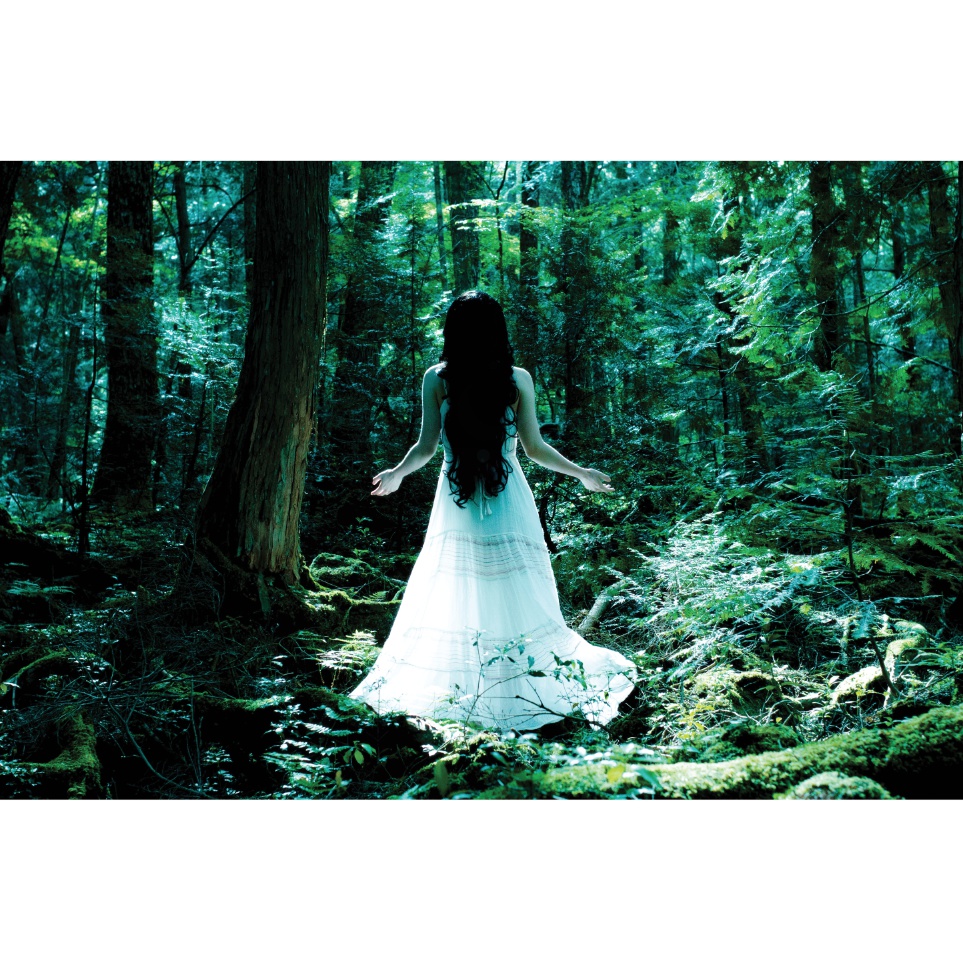 Original Art Photobook 「The Gateway」