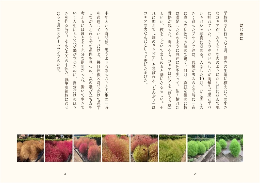 訓練校日記 30歳、学生だった半年のこと