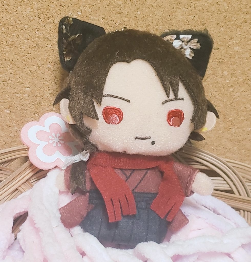 もちマス用へんしんせっと・にゃんこきどり