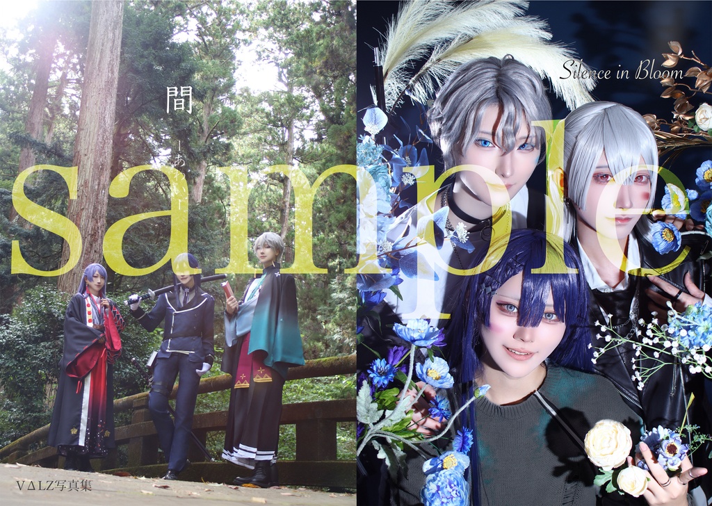 単品VΔLZ写真集