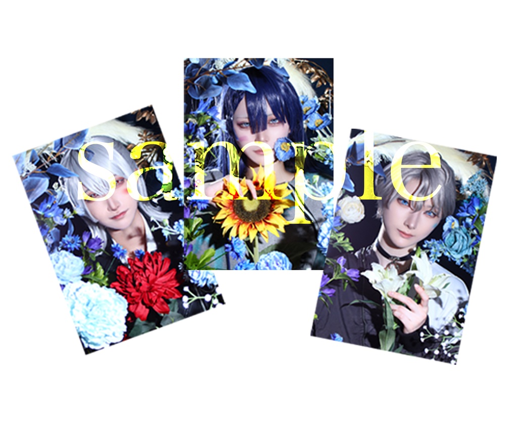 VΔLZコスプレブロマイド（3枚1セット）