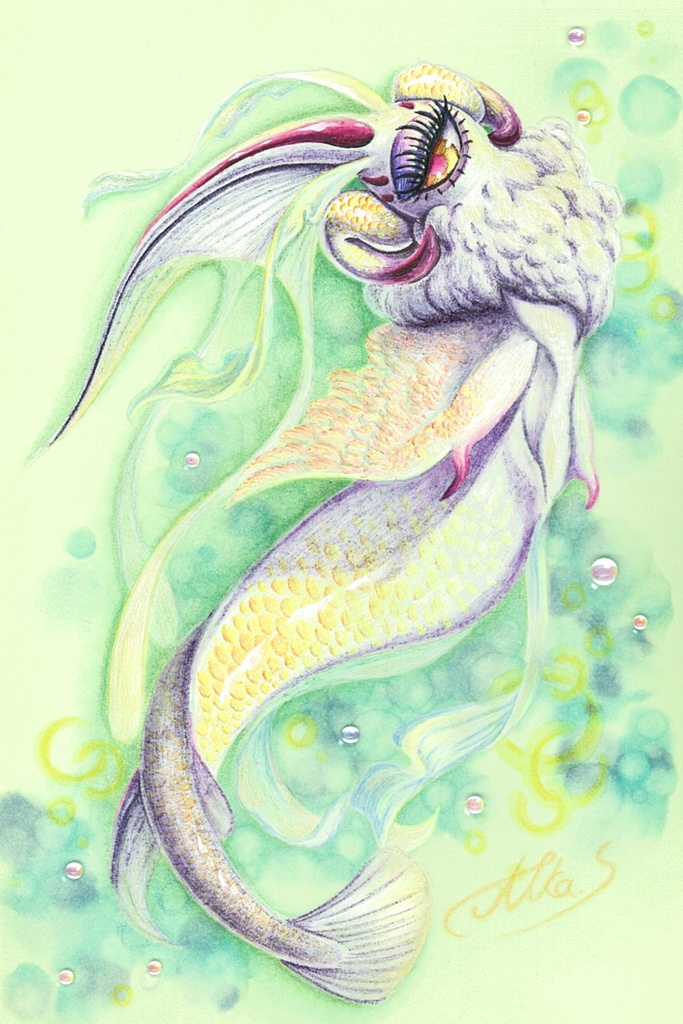 1weekSALE「アマツカイノヒレ」